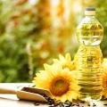 Flasche Sonnenblumenöl, Sonnenblumen und Sonnenblumenkerne